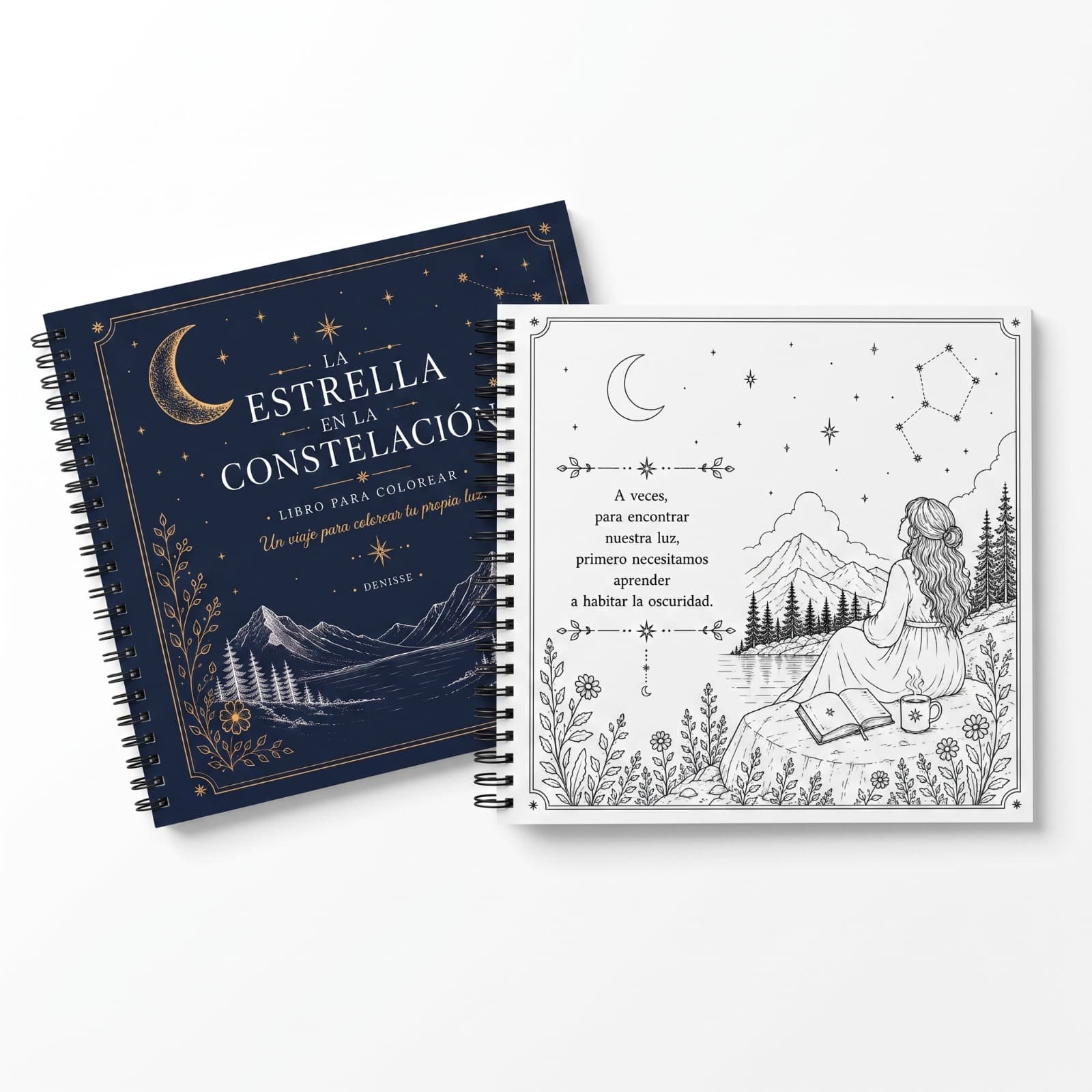 La Estrella en la Constelación